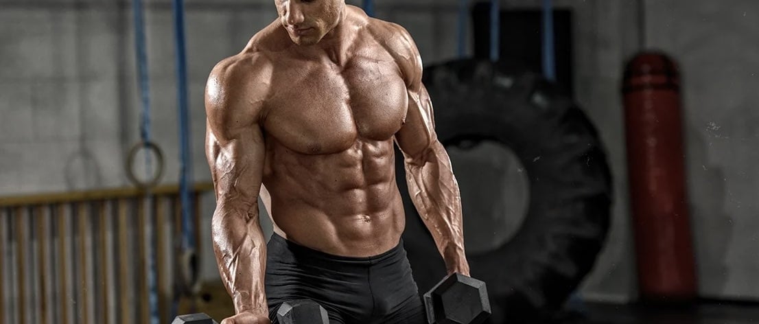 16 weeks Physique & Body Transformation Program